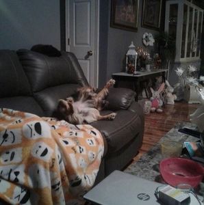 Meet your Posher, Alice